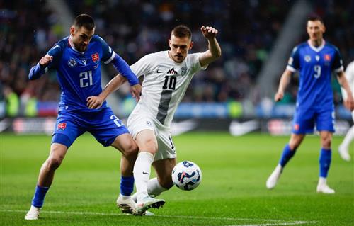 สโลวีเนีย vs สโลวาเกีย